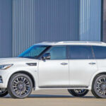 2023 Infiniti QX80
